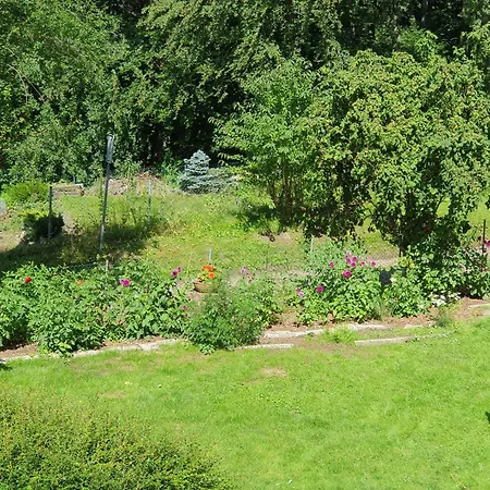 In Geesthacht-tesperhude Direkt Am Waldrand Semesterbostad *